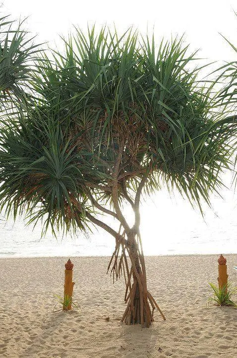 Lanta Infinity Resort - Sha Extra Plus Ko Lanta 3*,